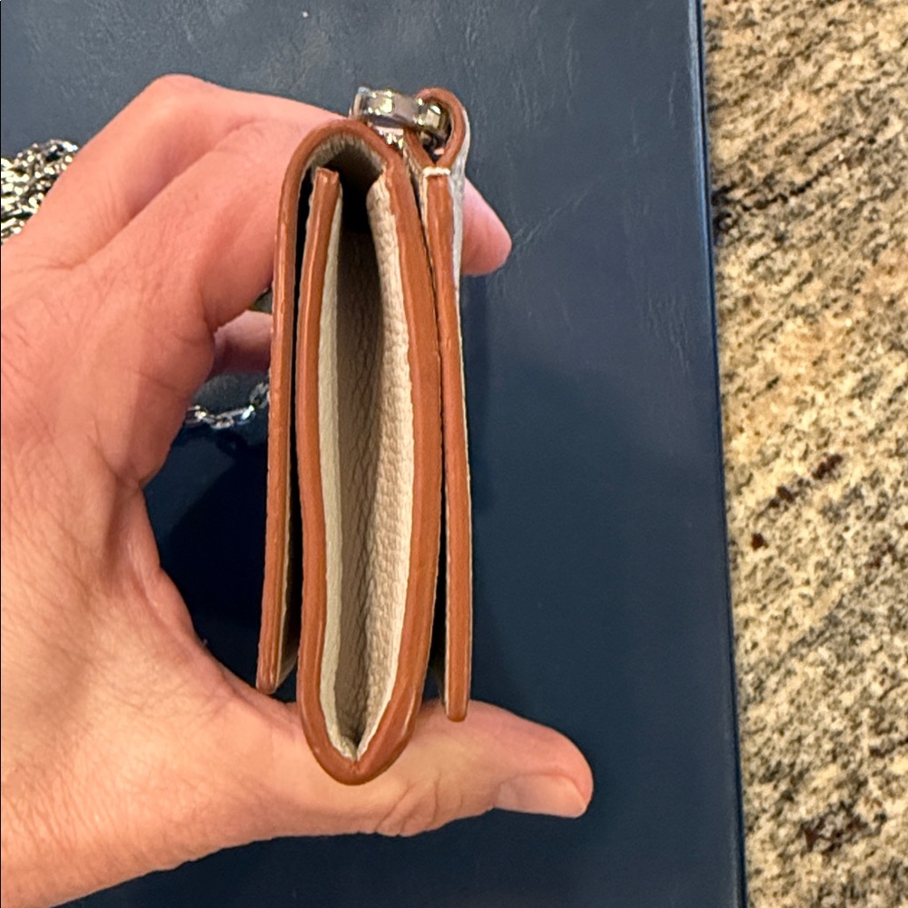 Loewe small Crossbody Wallet with Chain Strap - Picture 6 of 7